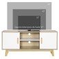 Mueble de TV para Televisores de hasta 55" Mueble con 2 Armarios y 2 Estantes 120x40x55 cm Natural y Blanco