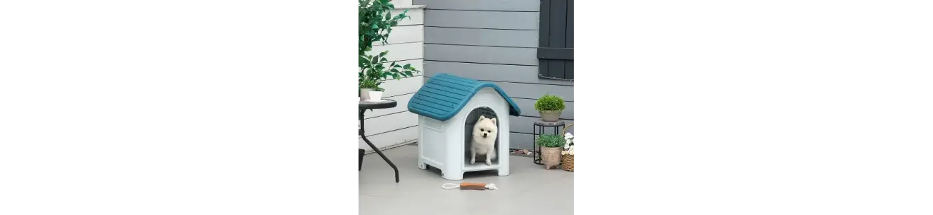 Productos para mascotas: cuidado y bienestar diario